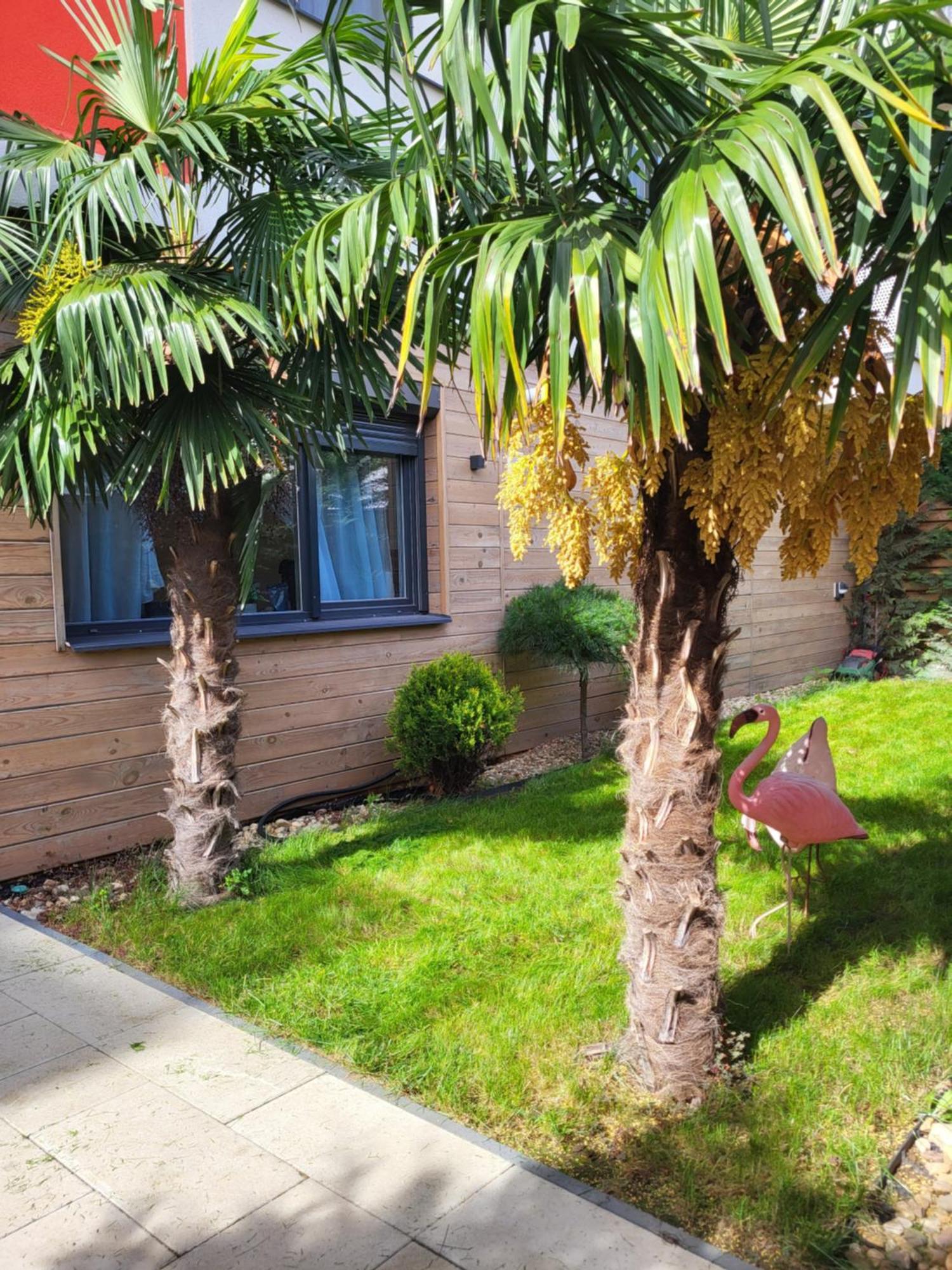 Sika Garden Apartment Arad Esterno foto